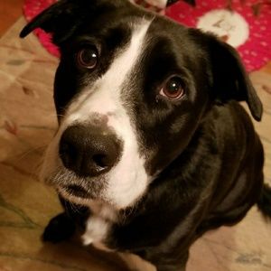 Meet your Posher, Arleen